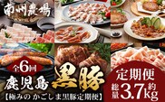 【全6回】極みの かごしま黒豚 定期便 NS-36| 鹿児島 かごしま 豚 豚肉 ぶた おかず しゃぶしゃぶ 餃子 味噌漬け 生ハム 生姜焼き ハンバーグ ウインナー ハム ソーセージ 焼き豚 切り落とし もも肉 肩ロース バラ 人気 贈答 ギフト定期便 鹿児島県 南大隅町