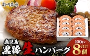 鹿児島県産 黒豚生ハンバーグセット（8個入）冷凍 NS-12 ❘ 肉 お肉 豚肉 豚 にく ぶた かごしま黒豚 ハンバーグ おかず ジューシー 小分け ギフト おかず お弁当 国産 鹿児島県 南大隅町 南州農場