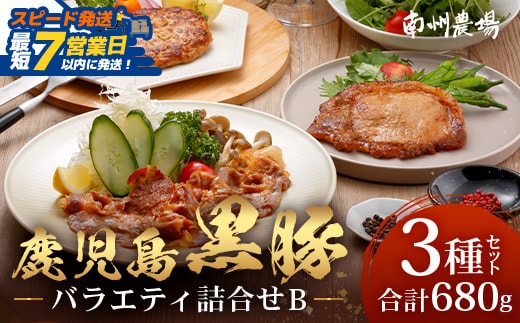 【スピード発送】鹿児島県産 黒豚バラエティ詰合せ Bセット（ロース味噌漬け・生姜焼き・ハンバーグ）味付き 冷凍 NS-11 ❘ ＼＼黒豚ロース味噌漬け バナナマンの早起きせっかくグルメで紹介！！／／鹿児島県 南大隅町