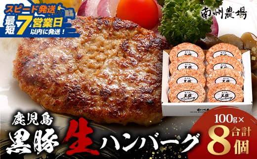 【スピード発送】鹿児島県産 黒豚生ハンバーグセット（8個入）冷凍 NS-12｜鹿児島県 南大隅町