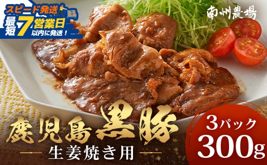 【スピード発送】鹿児島県産 黒豚生姜焼きセット（100g×3パック） 味付き肉 冷凍 NS-21｜鹿児島県 南大隅町