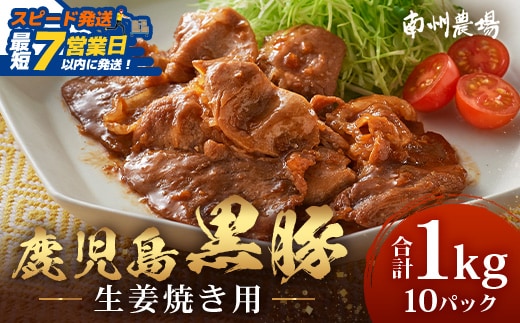 【スピード発送】鹿児島県産 黒豚生姜焼きセット（100g×10パック）味付き肉 冷凍 NS-23｜鹿児島県 南大隅町