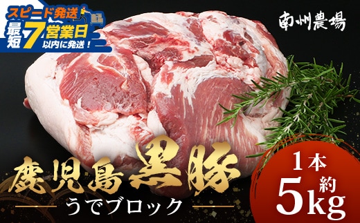 【スピード発送】【南大隅町限定】かごしま黒豚 うでブロック（約5.0kg） NS-4｜鹿児島県 南大隅町