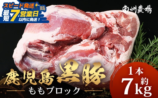 【スピード発送】【南大隅町限定】かごしま黒豚 ももブロック（約7.0kg）NS-5｜鹿児島県 南大隅町