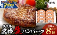 【スピード発送】鹿児島県産 黒豚生ハンバーグセット（8個入）冷凍 NS-12｜鹿児島県 南大隅町