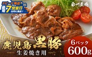 【スピード発送】鹿児島県産 黒豚生姜焼きセット（100g×6パック）味付き肉 冷凍 NS-22｜鹿児島県 南大隅町