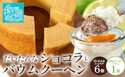 【2026年3月中旬から発送】 だいたんな！恋するショコラ & バウムセット(だいたんなショコラ6個＋≪極≫辺塚だいだいバウム）SH-5|たんかん ソース ムース チョコレート  スイーツ フルーツ プリン バームクーヘン  焼き菓子 洋菓子 手作り プレゼント 鹿児島県 南大隅町 31℃LINE花子