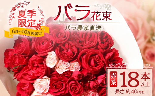 【日付指定必須・ギフト対応可】 夏季限定 ばら農家直送！バラ花束18本以上お届け(赤系) TB-1│ローズ 新鮮 花 フラワー 花束 ばら 薔薇 バラ 誕生日 記念日 結婚祝い ギフト プレゼント お祝い 贈り物 贈答 鹿児島県 南大隅町 富田バラ園