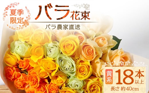 【先行予約・夏季限定 薔薇】ばら農家直送！バラ花束18本以上お届け(黄系) TB-3│ローズ 新鮮 花 フラワー 花束 ばら 薔薇 バラ 誕生日 記念日 結婚祝い ギフト プレゼント お祝い 贈り物 贈答 鹿児島県 南大隅町 富田バラ園