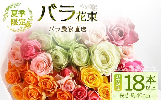 【先行予約・夏季限定 薔薇】ばら農家直送！バラ花束18本以上お届け(色はおまかせ)【ギフト対応可】TB-4│ローズ 新鮮 花 フラワー 花束 ばら 薔薇 バラ 誕生日 記念日 結婚祝い ギフト プレゼント お祝い 贈り物 贈答 鹿児島県 南大隅町 富田バラ園