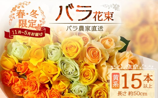 【クリスマス・年内お届けは12/15申込締切】ばら農家直送！人気の春・冬薔薇をお届け♪ バラ花束15本以上(黄系) 日付指定必須 ギフト対応可 TB-11│ローズ 新鮮 花 フラワー 花束 ばら 薔薇 バラ 誕生日 記念日 結婚祝い ギフト プレゼント お祝い 贈り物 贈答 鹿児島県 南大隅町 富田バラ園