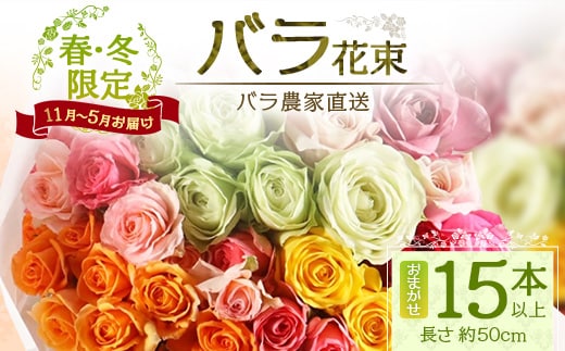 【クリスマス・年内お届けは12/15申込締切】ばら農家直送！ 人気の春・冬薔薇をお届け♪ バラ花束15本以上(色はおまかせ) 日付指定必須 ギフト対応可 TB-12│ローズ 新鮮 花 フラワー 花束 ばら 薔薇 バラ 誕生日 記念日 結婚祝い ギフト プレゼント お祝い 贈り物 贈答 鹿児島県 南大隅町 富田バラ園
