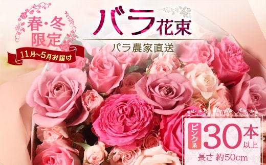 【クリスマス・年内お届けは12/15申込締切】ばら農家直送！人気の春・冬薔薇をお届け♪ バラ花束30本以上(ピンク系) 日付指定必須 ギフト対応可 TB-14│ローズ 新鮮 花 フラワー 花束 ばら 薔薇 バラ 誕生日 記念日 結婚祝い ギフト プレゼント お祝い 贈り物 贈答 鹿児島県 南大隅町 富田バラ園