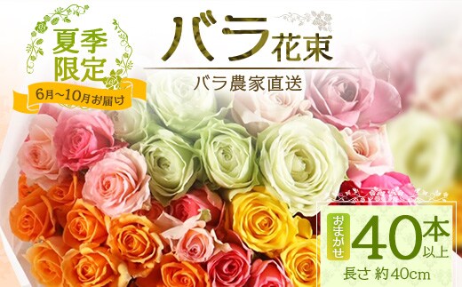 【日付指定必須・ギフト対応可】 夏季限定 ばら農家直送！バラ花束40本以上お届け(色はおまかせ) TB-8│ローズ 新鮮 花 フラワー 花束 ばら 薔薇 バラ 誕生日 記念日 結婚祝い ギフト プレゼント お祝い 贈り物 贈答 鹿児島県 南大隅町 富田バラ園