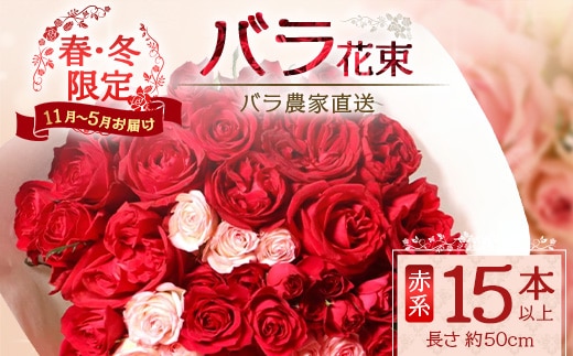 【クリスマス・年内お届けは12/15申込締切】ばら農家直送！人気の春・冬薔薇をお届け♪ バラ花束15本以上(赤系)日付指定必須 ギフト対応可 TB-9│ローズ 新鮮 花 フラワー 花束 ばら 薔薇 バラ 誕生日 記念日 結婚祝い ギフト プレゼント お祝い 贈り物 贈答 鹿児島県 南大隅町 富田バラ園