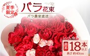 【先行予約・夏季限定 薔薇】ばら農家直送！バラ花束18本以上お届け(赤系) 【ギフト対応可】TB-1│ローズ 新鮮 花 フラワー 花束 ばら 薔薇 バラ 誕生日 記念日 結婚祝い ギフト プレゼント お祝い 贈り物 贈答 鹿児島県 南大隅町 富田バラ園