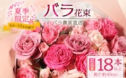 【日付指定必須・ギフト対応可】夏季限定 ばら農家直送！ バラ花束18本以上お届け(ピンク系) TB-2│ローズ 新鮮 花 フラワー 花束 ばら 薔薇 夏 バラ 誕生日 記念日 結婚祝い ギフト プレゼント お祝い 贈り物 贈答 鹿児島県 南大隅町 富田バラ園