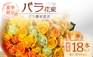 【先行予約・夏季限定 薔薇】ばら農家直送！バラ花束18本以上お届け(黄系) TB-3│ローズ 新鮮 花 フラワー 花束 ばら 薔薇 バラ 誕生日 記念日 結婚祝い ギフト プレゼント お祝い 贈り物 贈答 鹿児島県 南大隅町 富田バラ園