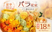 【日付指定必須・ギフト対応可】夏季限定 ばら農家直送！バラ花束18本以上お届け(黄系) TB-3│ローズ 新鮮 花 フラワー 花束 ばら 薔薇 バラ 誕生日 記念日 結婚祝い ギフト プレゼント お祝い 贈り物 贈答 鹿児島県 南大隅町 富田バラ園