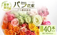 【先行予約・夏季限定 薔薇】ばら農家直送！バラ花束40本以上お届け(色はおまかせ) 【ギフト対応可】TB-8│ローズ 新鮮 花 フラワー 花束 ばら 薔薇 バラ 誕生日 記念日 結婚祝い ギフト プレゼント お祝い 贈り物 贈答 鹿児島県 南大隅町 富田バラ園