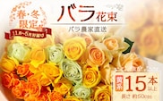 【クリスマス・年内お届けは12/15申込締切】ばら農家直送！人気の春・冬薔薇をお届け♪ バラ花束15本以上(黄系) 日付指定必須 ギフト対応可 TB-11│ローズ 新鮮 花 フラワー 花束 ばら 薔薇 バラ 誕生日 記念日 結婚祝い ギフト プレゼント お祝い 贈り物 贈答 鹿児島県 南大隅町 富田バラ園