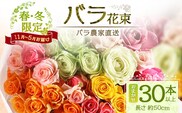 【クリスマス・年内お届けは12/15申込締切】ばら農家直送！人気の春・冬薔薇をお届け♪ バラ花束30本以上(色はおまかせ) 日付指定必須 ギフト対応可 TB-16 │ ローズ 新鮮 花 フラワー 花束 ばら 薔薇 バラ 誕生日 記念日 結婚祝い ギフト プレゼント お祝い 贈り物 贈答 鹿児島県 南大隅町 富田バラ園