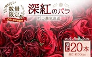 【クリスマス・年内お届けは12/15申込締切】数量限定・ギフト対応 ばら農家直送！深紅の薔薇20本 TB-17│ローズ 新鮮 バラ 花 フラワー 花束 ばら 薔薇 誕生日 記念日 結婚祝い プロポーズ ギフト プレゼント お祝い 贈り物 贈答 鹿児島県 南大隅町 富田バラ園
