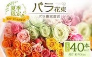 【日付指定必須・ギフト対応可】 夏季限定 ばら農家直送！バラ花束40本以上お届け(色はおまかせ) TB-8│ローズ 新鮮 花 フラワー 花束 ばら 薔薇 バラ 誕生日 記念日 結婚祝い ギフト プレゼント お祝い 贈り物 贈答 鹿児島県 南大隅町 富田バラ園