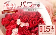 【クリスマス・年内お届けは12/15申込締切】ばら農家直送！人気の春・冬薔薇をお届け♪ バラ花束15本以上(赤系)日付指定必須 ギフト対応可 TB-9│ローズ 新鮮 花 フラワー 花束 ばら 薔薇 バラ 誕生日 記念日 結婚祝い ギフト プレゼント お祝い 贈り物 贈答 鹿児島県 南大隅町 富田バラ園