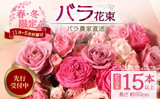 ※先行予約※【日付指定必須・ギフト対応可】ばら農家直送！人気の春・冬薔薇をお届け♪ バラ花束15本以上(ピンク系) 【ギフト対応可】 TB-10│ローズ 新鮮 花 フラワー 花束 ばら 薔薇 バラ 誕生日 記念日 結婚祝い ギフト プレゼント お祝い 贈り物 贈答 鹿児島県 南大隅町 富田バラ園