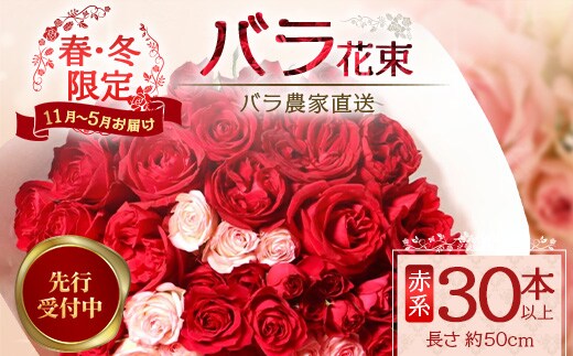 ※先行予約※【日付指定必須・ギフト対応可】ばら農家直送！人気の春・冬薔薇をお届け♪バラ花束30本以上(赤系) TB-13│ローズ 新鮮 花 フラワー 花束 ばら 薔薇 バラ 誕生日 記念日 結婚祝い ギフト プレゼント お祝い 贈り物 贈答 鹿児島県 南大隅町 富田バラ園