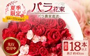 【 2027年先行予約】【日付指定必須・ギフト対応可】 夏季限定 ばら農家直送！バラ花束18本以上お届け(赤系) TB-1｜鹿児島県 南大隅町 