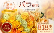 【 2027年先行予約】【日付指定必須・ギフト対応可】夏季限定 ばら農家直送！バラ花束18本以上お届け(黄系) TB-3｜鹿児島県 南大隅町