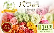 【 2027年先行予約】【日付指定必須・ギフト対応可】 夏季限定 ばら農家直送！バラ花束18本以上お届け(色はおまかせ) TB-4｜鹿児島県 南大隅町