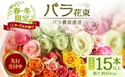 ※先行予約※【日付指定必須・ギフト対応可】ばら農家直送！ バラ花束15本以上(色はおまかせ) TB-12│ローズ 新鮮 花 フラワー 花束 ばら 薔薇 バラ 誕生日 記念日 結婚祝い ギフト プレゼント お祝い 贈り物 贈答 鹿児島県 南大隅町 富田バラ園