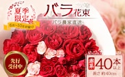【 2027年先行予約】【日付指定必須・ギフト対応可】 夏季限定 ばら農家直送！バラ花束40本以上お届け(赤系) TB-5｜鹿児島県 南大隅町 