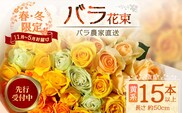 ※先行予約※【日付指定必須・ギフト対応可】ばら農家直送！人気の春・冬薔薇をお届け♪ バラ花束15本以上(黄系) TB-11│ローズ 新鮮 花 フラワー 花束 ばら 薔薇 バラ 誕生日 記念日 結婚祝い ギフト プレゼント お祝い 贈り物 贈答 鹿児島県 南大隅町 富田バラ園