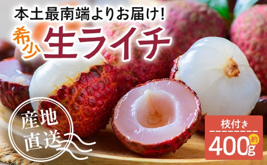 【今が旬！数量限定】本土最南端よりお届け！希少生ライチ（約400g）TE-1｜国産 果物 ライチ らいち 生 枝付き 栽培期間中 無農薬 ぷりぷり ジューシー 産地直送 限定 鹿児島県 南大隅町 有限会社ティエラ