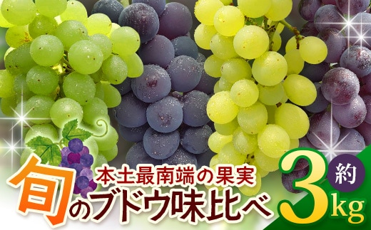 【期間限定!数量限定!】2026年7月下旬発送 旬のブドウ味くらべ約3kg (6～7房) TE710｜産地直送 旬 ブドウ 葡萄 ぶどう フルーツ 果物 くだもの 果実 食べ比べ 鹿児島県 南大隅町 有限会社ティエラ 