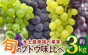 【期間限定!数量限定!】今が旬！ブドウ味くらべセット 約3kg (6～7房) TE710｜産地直送 旬 ブドウ 葡萄 ぶどう フルーツ 果物 くだもの 果実 食べ比べ 鹿児島県 南大隅町 有限会社ティエラ　