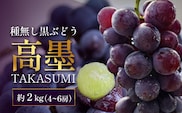 【2027年先行予約・数量限定】本土最南端のぶどう 高墨 約2kg(4～6房）種無し TE-2｜鹿児島県 南大隅町
