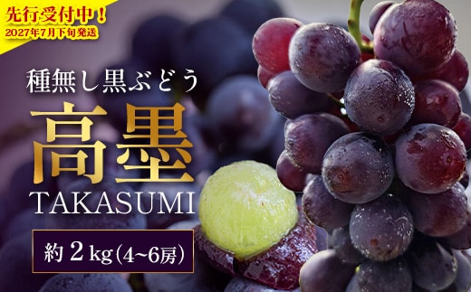 【2027年先行予約・数量限定】本土最南端のぶどう 高墨 約2kg(4～6房）種無し TE-2｜鹿児島県 南大隅町