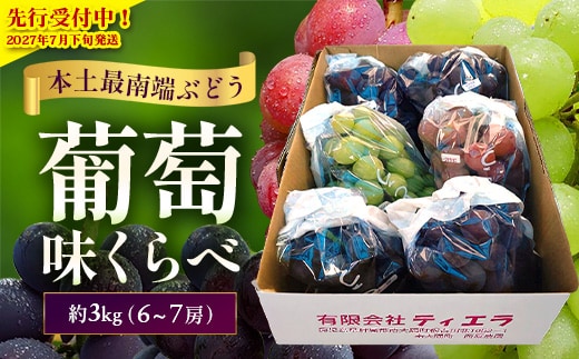 【2027年先行予約・数量限定】ブドウ味くらべ約3kg 4種以上 (6～7房) TE710｜鹿児島県 南大隅町 17品種の中から厳選