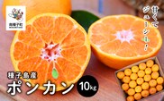 《 先行予約 》【2025年12月中旬頃〜1月中旬頃順次発送】種子島産ポンカン約10kg（約65玉）
