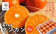 《 先行予約 》【2026年2月中旬〜3月中旬頃順次発送】種子島産タンカン約5kg（24玉～30玉）