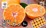 《 先行予約 》【2025年12月中旬頃〜1月中旬頃順次発送】種子島産ポンカン約5kg（24玉～30玉）