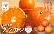 《 先行予約 》【2026年2月中旬〜3月中旬頃順次発送】種子島産タンカン(ご家庭用)約2.5kg（12～18玉）