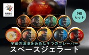 スペースジェラート 9個セット