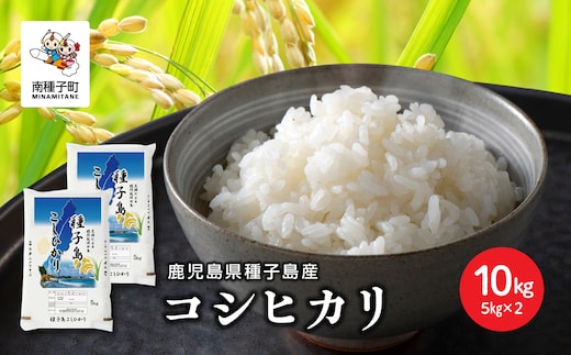 【先行予約】《令和8年産米 新米》【8月上旬より順次発送予定】 種子島産コシヒカリ10kg（5kg×2）