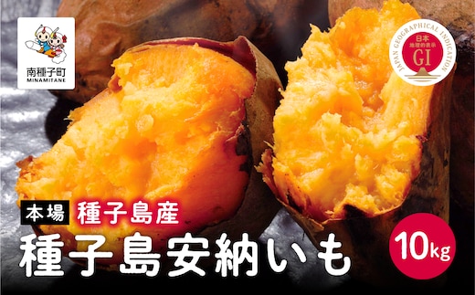 《 先行予約 》種子島安納いも（本場種子島産）１０ｋｇ